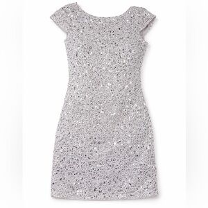 Elegant Silver Lace Dress